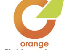 https://aviamrt.com/wp-content/uploads/2021/11/logo-orange-2fly-236x168.jpg